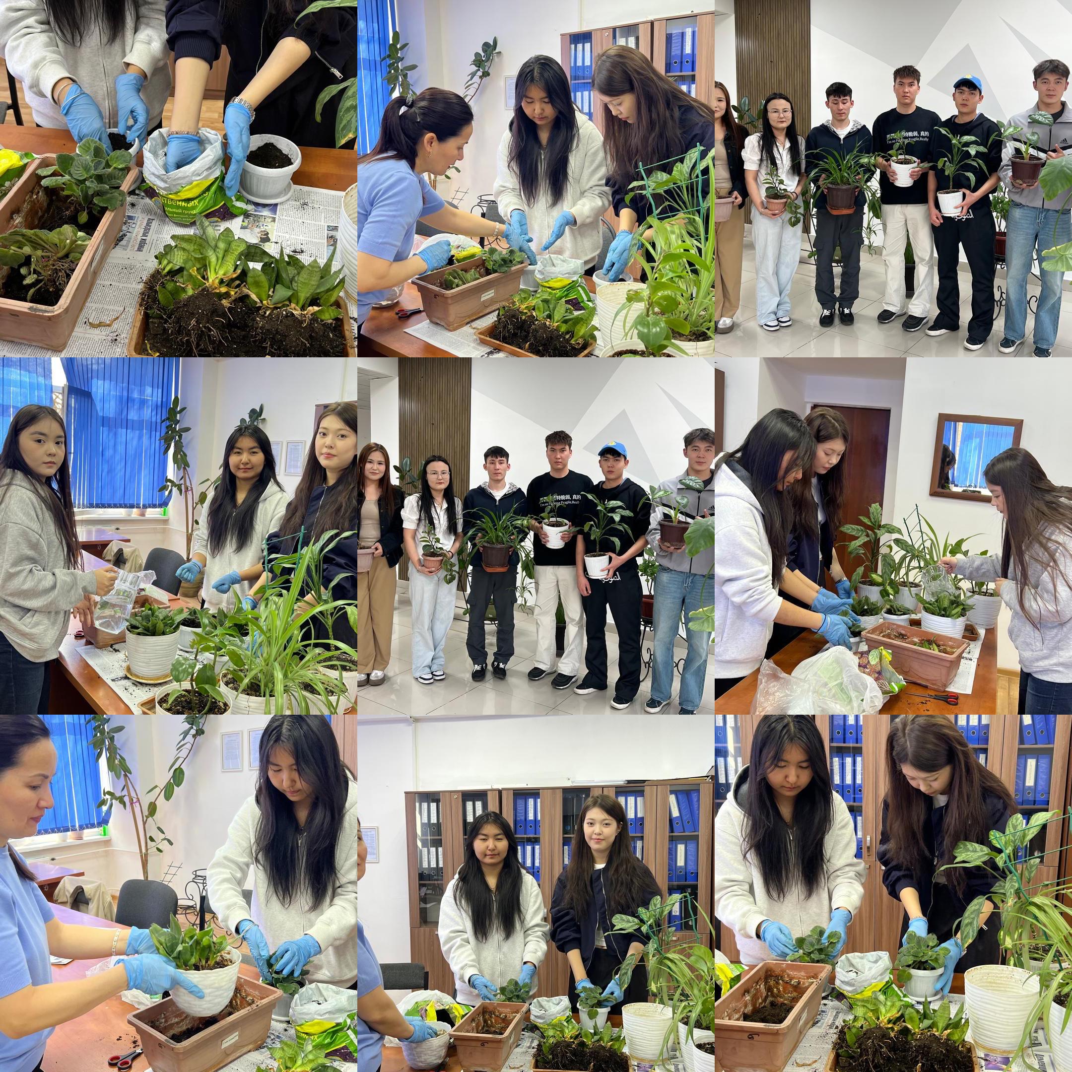 ТДМ 15. «Жасыл кеңістік» экологиялық челленджі: студенттер мен оқытушылардың ортақ бастамасы